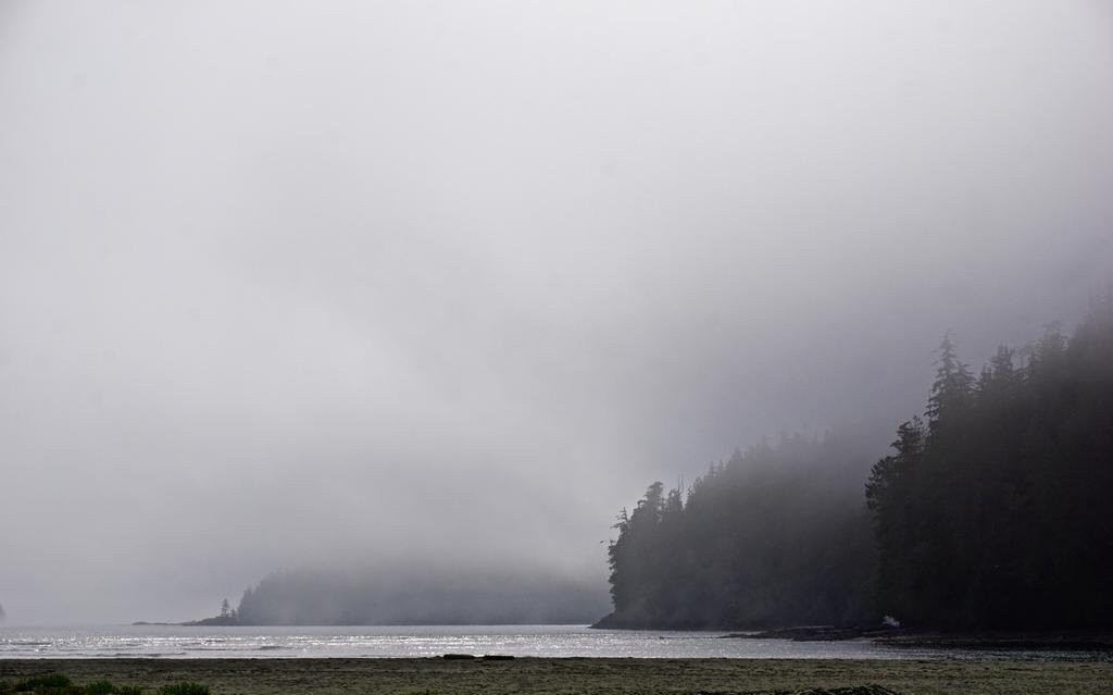 Salmon Beach The Bamfield Motel מראה חיצוני תמונה