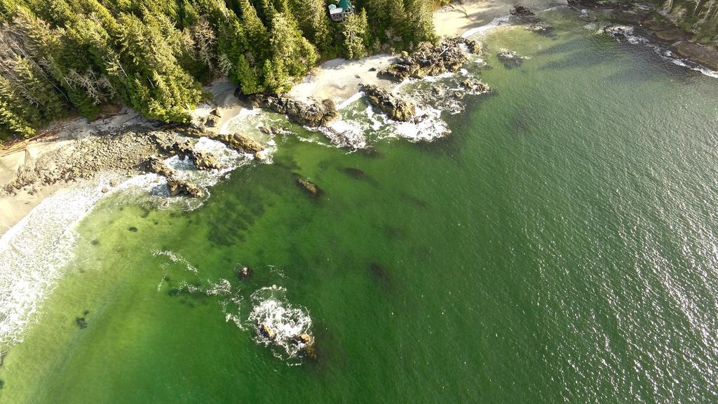 Salmon Beach The Bamfield Motel מראה חיצוני תמונה